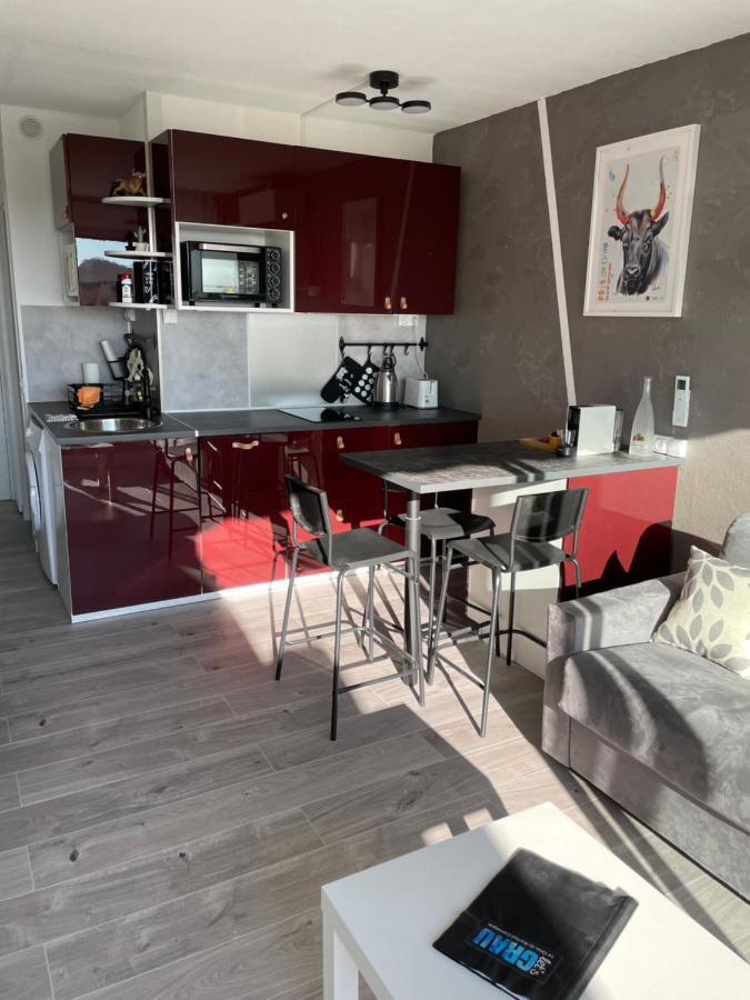 Superbe Studio, Terrasse, Piscine, Parking Le Grau-du-Roi Exteriör bild